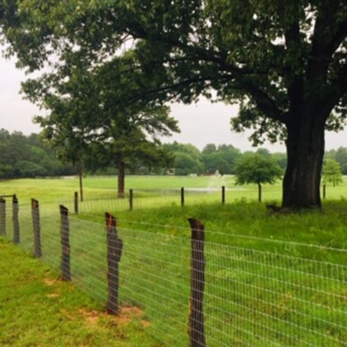 OKLAHOMA NON CLIMB 4' (2X4X12.5) 100' ROLL