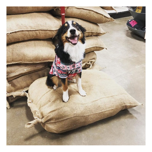 BURLAP DOG BED