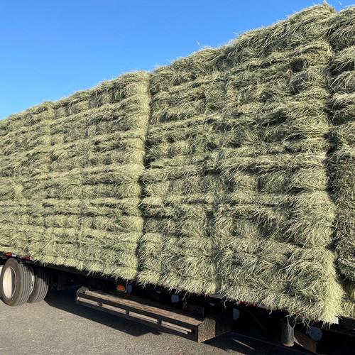 COASTAL #1 -green (2-strand) 56 lb avg