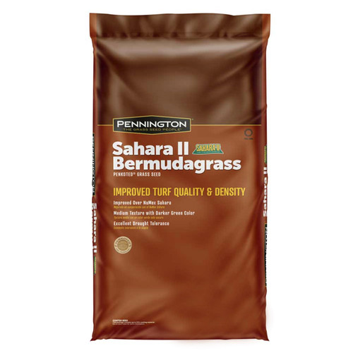 SAHARA BERMUDA  (UNHULLED & COATED) 1#