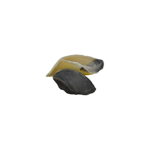 COW HOOVES, NATURAL