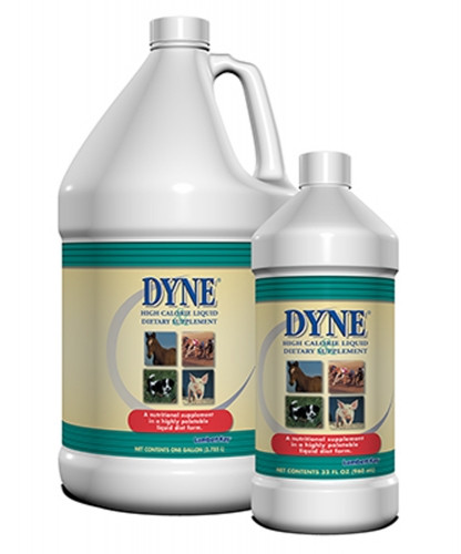 Dyne High Calorie Liquid For Livestock - Pilot Point Feed Store