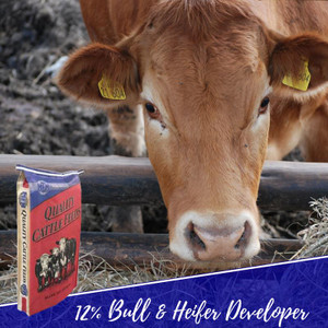 MFM 12% Bull & Heifer Developer is a textured all natural feed which enhances feed consumption. This can be fed with medium to high quality pasture or hay for increased rate of growth. This feed is fortified with trace minerals and vitamins for improved health and growth.
Shop Affordable, Best Price and Deals on all your Martindale Feed at Pilot Point Feed Store. We're your local Martindale Dealer! MFM 12% Bull & Heifer Developer is a textured all natural feed which enhances feed consumption. This can be fed with medium to high quality pasture or hay for increased rate of growth. This feed is fortified with trace minerals and vitamins for improved health and growth.
Shop Affordable, Best Price and Deals on all your Martindale Feed at Pilot Point Feed Store. We're your local Martindale Dealer!