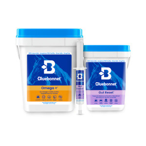 The Hind Gut Rescue Program™ is a "gut check in a box", a complete 30-day nutritional plan designed to support digestive function, maintain condition, and promote overall well-being, especially during periods of stress, which may include: injury, illness, travel, seasonal change, and feed transitions. This easy-to-use 3-supplement stack features three targeted products that deliver prebiotics, probiotics, postbiotics, and Omega 3s (EPA and DHA) in highly absorbable forms.