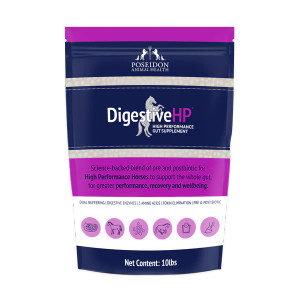True health begins in your horse's gut. Science-backed and veterinarian recommended, DigestiveHP is a complete fore and hindgut supplement for peak condition, performance, digestion and recovery.
If your high performance horse is struggling with occasional soft manure, poor digestion, body condition, poor performance and recovery, poor behavior and even lack-lustre hoof health and dull coat condition, it’s likely that the trillion of microbiomes in his gut are overworked and need help.
This is especially relevant for high performance horses who face higher gut health risks because of travel, intense exercise and heat stress.
Many supplements focus on just one part of the gut. DigestiveHP’s unique blend of pre and postbiotics, digestive enzymes, plus amino acids works from the foregut to the hindgut, covering all 23 yards of the digestive system.
A healthy gut means horses can benefit from more effective digestion, reducing wasted feed, and better condition. Your horse will feel and look better, with trainable energy and behavior to perform at their highest level.
Addressing gut health from the inside can lead to remarkable visible transformations in body condition, coat appearance and hoof health. True health begins in your horse's gut. Science-backed and veterinarian recommended, DigestiveHP is a complete fore and hindgut supplement for peak condition, performance, digestion and recovery.
If your high performance horse is struggling with occasional soft manure, poor digestion, body condition, poor performance and recovery, poor behavior and even lack-lustre hoof health and dull coat condition, it’s likely that the trillion of microbiomes in his gut are overworked and need help.
This is especially relevant for high performance horses who face higher gut health risks because of travel, intense exercise and heat stress.
Many supplements focus on just one part of the gut. DigestiveHP’s unique blend of pre and postbiotics, digestive enzymes, plus amino acids works from the foregut to the hindgut, covering all 23 yards of the digestive system.
A healthy gut means horses can benefit from more effective digestion, reducing wasted feed, and better condition. Your horse will feel and look better, with trainable energy and behavior to perform at their highest level.
Addressing gut health from the inside can lead to remarkable visible transformations in body condition, coat appearance and hoof health.