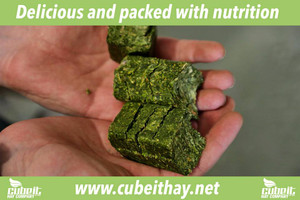 Premium Cubes for Premium Animals. CubeIt Hay Company is the producers of premium quality alfalfa hay cubes for over 20 years.   CubeIt Hay company alfalfa cubes are the best on the market.