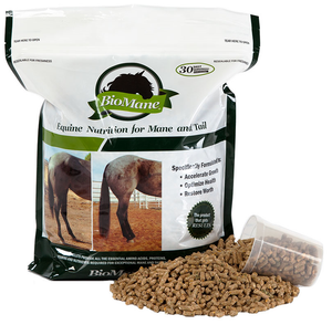 BioMane Equine Pellets provide all the essential amino acids, proteins, vitamins and nutrients required for exceptional mane and tail growth. They are specifically formulated to accelerate growth, optimize health, and restore worth to the horse. Created for horses of all breeds and ages, this comprehensive formula provides the horse with the proper nutrients to grow a longer, thicker, and healthier mane and tail. BioMane Equine Pellets provide all the essential amino acids, proteins, vitamins and nutrients required for exceptional mane and tail growth. They are specifically formulated to accelerate growth, optimize health, and restore worth to the horse. Created for horses of all breeds and ages, this comprehensive formula provides the horse with the proper nutrients to grow a longer, thicker, and healthier mane and tail.