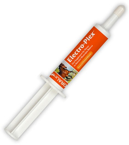 Helps replace important electrolytes and nutrients lost due to physical stress. Equally effective in stimulating a horse to drink water.
Contains trace minerals, such as sodium chloride, potassium and magnesium, important B vitamins and 19 different amino acids, including all 8 essential amino acids. Use just before or immediately after a workout or race. Administer entire syringe and provide ample drinking water. Shop affordable and best price Electrolytes and Animal Health products at Pilot Point Feed Store. And if we don't have it, we will get it for you! Helps replace important electrolytes and nutrients lost due to physical stress. Equally effective in stimulating a horse to drink water.
Contains trace minerals, such as sodium chloride, potassium and magnesium, important B vitamins and 19 different amino acids, including all 8 essential amino acids. Use just before or immediately after a workout or race. Administer entire syringe and provide ample drinking water. Shop affordable and best price Electrolytes and Animal Health products at Pilot Point Feed Store. And if we don't have it, we will get it for you!