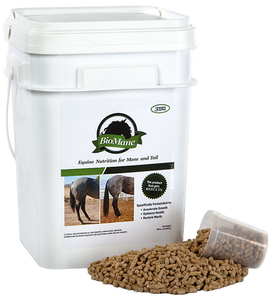 BioMane Equine Pellets provide all the essential amino acids, proteins, vitamins and nutrients required for exceptional mane and tail growth. They are specifically formulated to accelerate growth, optimize health, and restore worth to the horse. Created for horses of all breeds and ages, this comprehensive formula provides the horse with the proper nutrients to grow a longer, thicker, and healthier mane and tail. Shop affordable and best price Animal Health Products at Pilot Point Feed Store! BioMane Equine Pellets provide all the essential amino acids, proteins, vitamins and nutrients required for exceptional mane and tail growth. They are specifically formulated to accelerate growth, optimize health, and restore worth to the horse. Created for horses of all breeds and ages, this comprehensive formula provides the horse with the proper nutrients to grow a longer, thicker, and healthier mane and tail. Shop affordable and best price Animal Health Products at Pilot Point Feed Store!