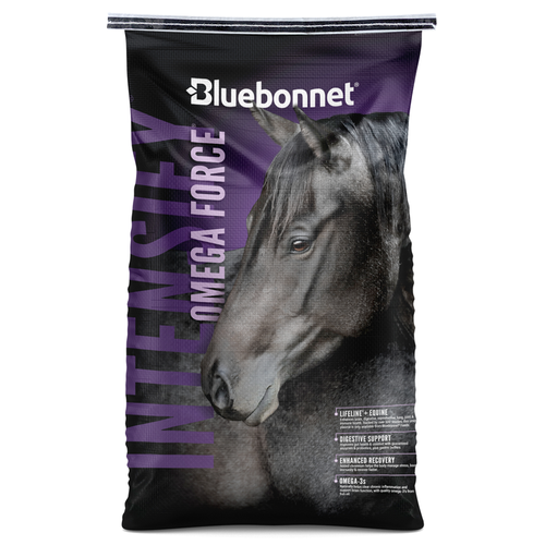 Intensify Omega Force is a nutrient dense feed formulated for horses in training.  This product contains high quality protein and high levels of “Cool Energy” calories along with flaxseed and fish oil for increased Omega 3 fatty acids.  Low levels of starch, sugar and non-structural carbohydrates team up with increased levels of Organic Selenium Yeast and Vitamin E, all of which are essential for ultimate athletic performance.  This feed is safe for horses in all life stages and contains “Intensify Technology”.  Omega Force is very concentrated and was designed to be fed in smaller amounts than traditional horse feeds.  Lower feeding rates reduce chances of colic and gastric disturbances for your horse, but they also result in lower feed costs for you!  Fortified with Stride 101 Supplement.   Shop affordable, best prices and deals on all your BlueBonnet horse feeds at Pilot Point Feed Store!  We're  your go-to BlueBonnet Dealer!