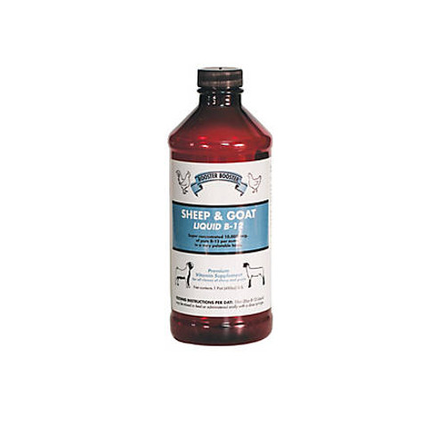 Rooster Booster 50302 Sheep & Goat B12 Liquid Supplement is a highly concentrated source of Vitamin B-12 that is easy to administer either orally or in the animal's feed. These goat vitamins support a healthy immune system to keep animals in top breeding health. The goat and sheep supplements are also ideal for animals recovering from anemia. By increasing appetite, the sheep and goat supplements help promote weight gain.

Goat vitamins support a healthy immune system
Helps keep animals in top breeding health