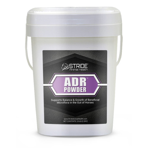 Now available at The Pilot Point Feed Store! FOR USE IN HORSES ONLY: Recommended to support a normal balance of intestinal microflora by supporting growth of beneficial bacteria in the gut, in addition to supporting normal health of intestinal tissue and a healthy immune system.

ACTIVE INGREDIENTS PER 40 g SCOOP:
Proprietary Blend of [Yeast Culture, Enterococcus faecium, Lactobacillus acidophilus]...38.5 Billion CFU

INACTIVE INGREDIENTS:
Dextrose, Mineral Oil, Sodium Silicoaluminate.


DIRECTIONS FOR USE:
All Horses: Administer ½ scoop (20 g) twice daily. If greater response is needed, administer 1 scoop (40 g) twice daily.
Pregnant Mares: Administer ½ scoop (20 g) per day for last 30-45 days of gestation.
Foals: Use ADR Paste