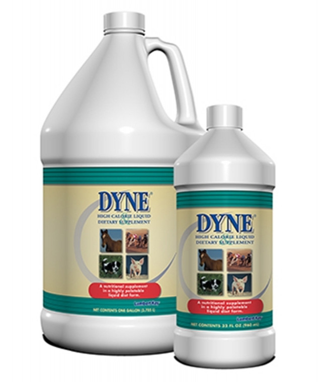 Dyne Livestock Supplement is a high calorie liquid nutritional supplement that aids in weight gain for cattle, swine, sheep and goats. High calorie liquid supplement with added vitamins provides 174 calories per ounce and a pleasant vanilla flavor to encourage picky eaters. Shop affordable and best price Animal Health products at Pilot Point Feed Store!