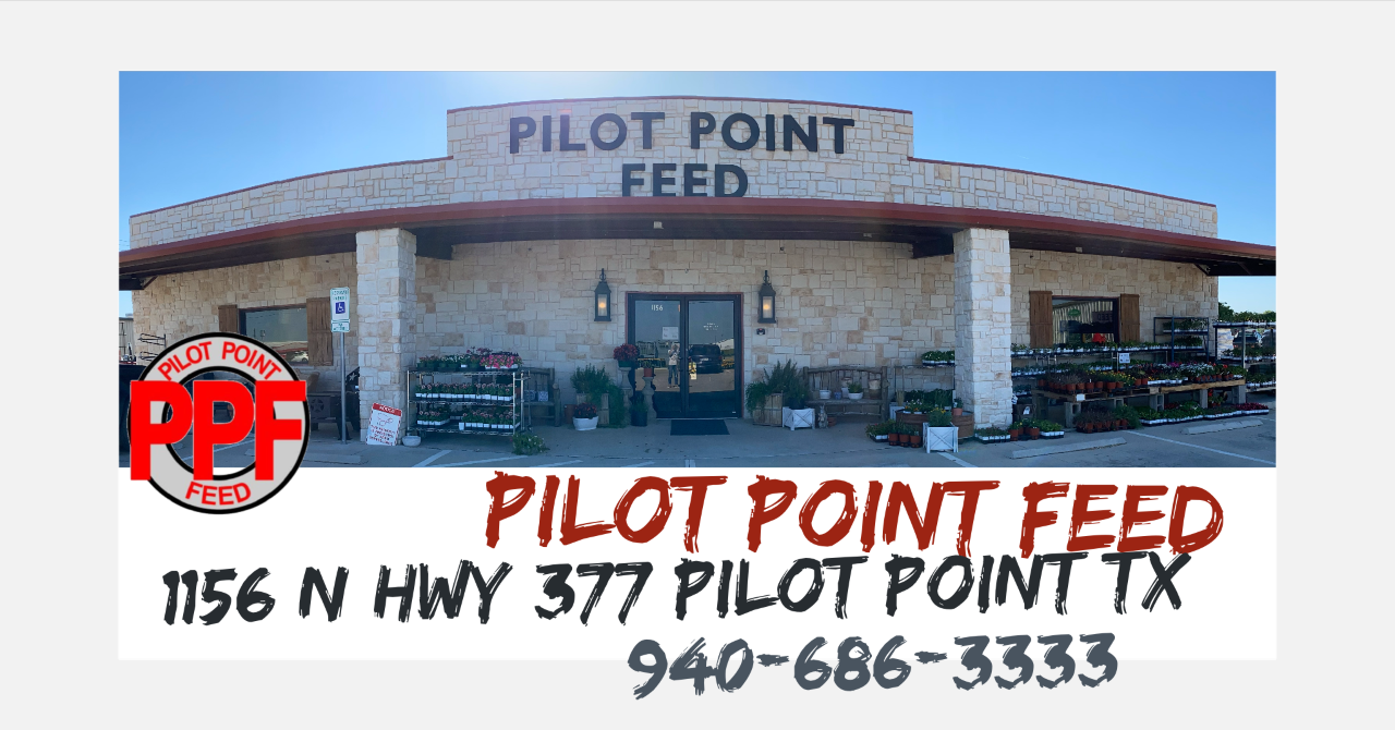 Pilot Point Feed Store