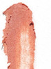 An smudge of peachy color vegan plastic-free blush stick
