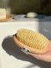 A Natural Sisal Body Brush with bristles facing up