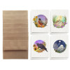 All four birds of the seasons plantable herb seeded cards set laid out with brown envelopes