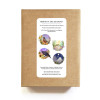 All four birds of the seasons plantable herb seeded cards set laid out with brown envelopes