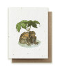 Two Toads Together plantable herb seeded card