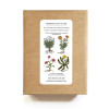 A set of greeting cards with watercolor medicinal plants designs on wildflower plantable seed paper