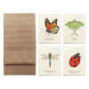 A set of greeting cards with watercolor insects designs on wildflower plantable seed paper