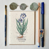 A greeting card with a watercolor blue flag iris flower design on wildflower plantable seed paper