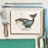 A greeting card with a watercolor bowhead whale design on wildflower plantable seed paper