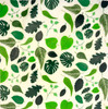 Organic Beeswax Food Wrap in Green Leaves