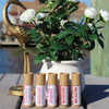 Compostable Tinted Lip Balms
