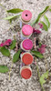 Compostable Tinted Lip Balms