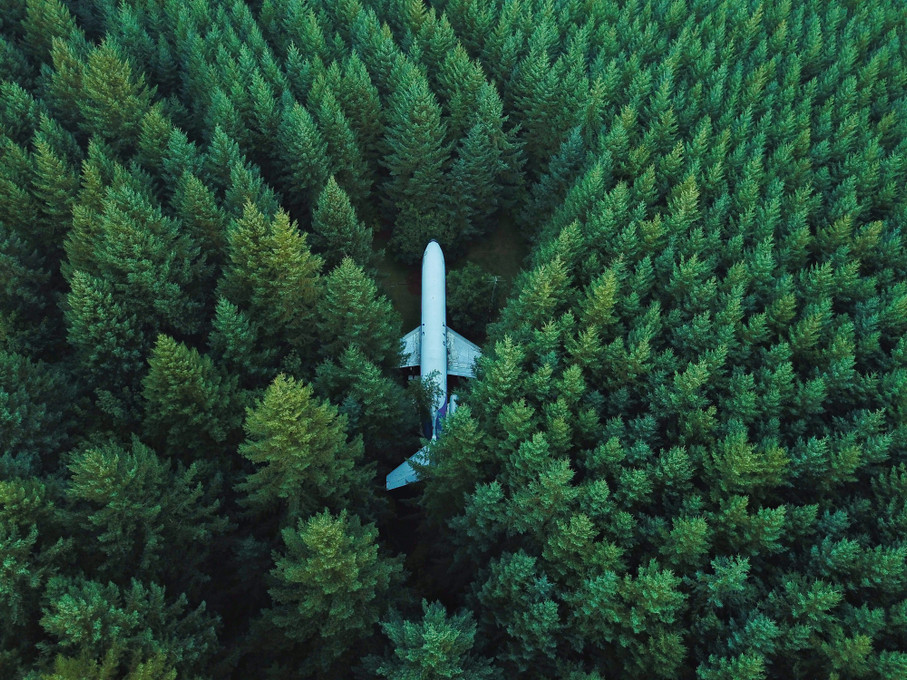 Carbon Offsets for Individuals: When To Use Them and What They Do Carbon Offsets for Individuals: When To Use Them and What They Do