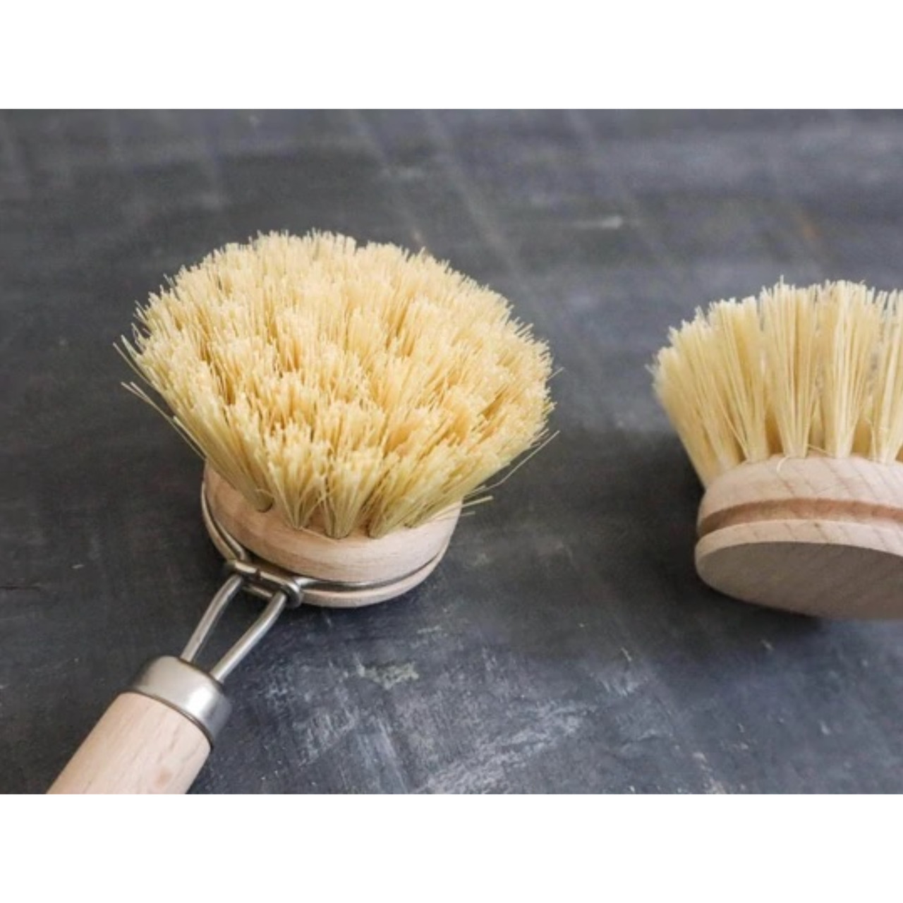Beechwood & Sisal Fiber Kitchen Dish Brush — Eco Maniac Company