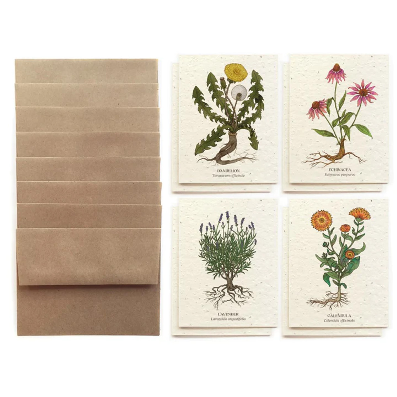 British Meadow Mix Handmade Plantable Card 280-300 gsm