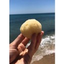 Sustainably-Farmed Sea Sponge, 2-3" by Katari Beauty