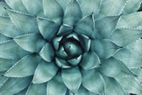 Nature and Holistic Health 
