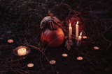 ​Celebrating Halloween Sustainably