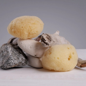 Sustainably-Farmed Sea Sponge, 2-3" by Katari Beauty Sustainably-Farmed Sea Sponge, 2-3" by Katari Beauty