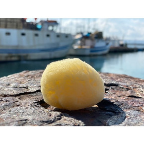Sustainably-Farmed Sea Sponge, 2-3" by Katari Beauty Sustainably-Farmed Sea Sponge, 2-3" by Katari Beauty