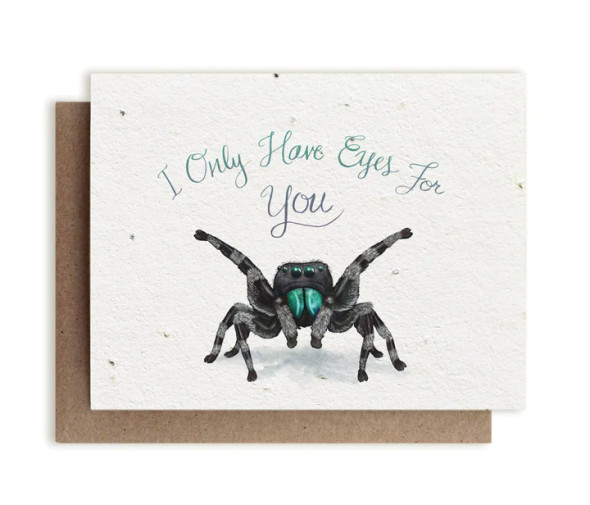 "I Only Have Eyes For You" plantable herb seeded card with a spider image