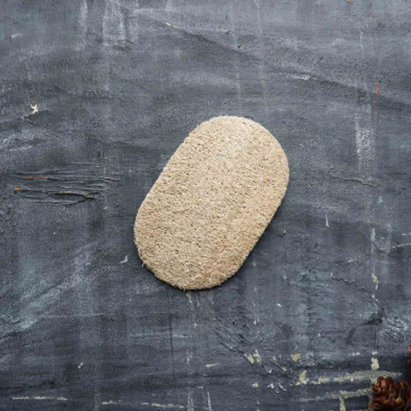 A natural loofah sponge on a slate background