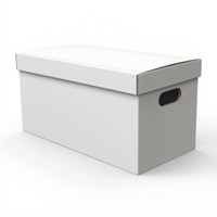 Comic Storage Long Box