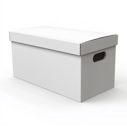 Comic Storage Long Box
