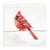 Birds Of A Feather Collection Coaster - Cardinal