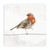 Ceramic Coasters - Brown Headed Thrush