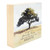 Tree of Life Word Block - The Roots Of The Family Tree