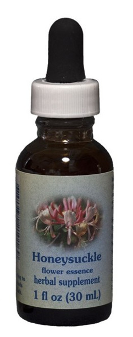 Honeysuckle 1 oz. Flower Essence