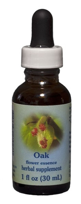 Oak 1 oz. Flower Essence