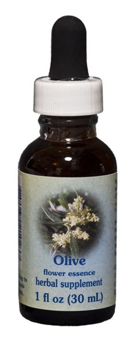 Olive 1 oz. Flower Essence