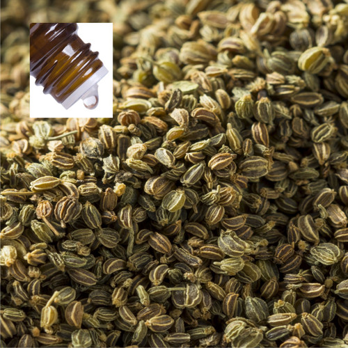 Celery Seed Pure Essential Oil