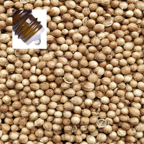 Coriander Seed Pure Essential Oil
